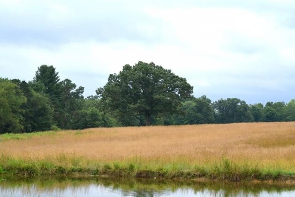 Picture of Residential Land For Sale in Cranberry, Pennsylvania, United States