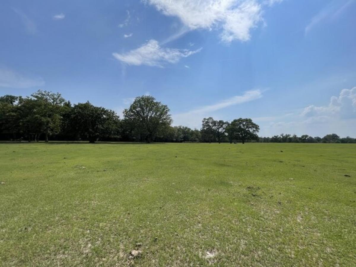 Picture of Residential Land For Sale in Wagener, South Carolina, United States