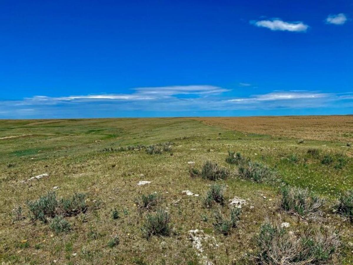 Picture of Residential Land For Sale in Malta, Montana, United States