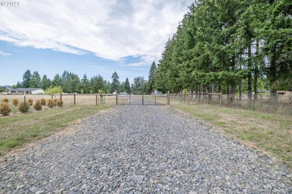 Picture of Residential Land For Sale in Lebanon, Oregon, United States