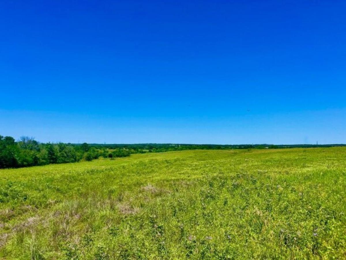 Picture of Residential Land For Sale in Poolville, Texas, United States