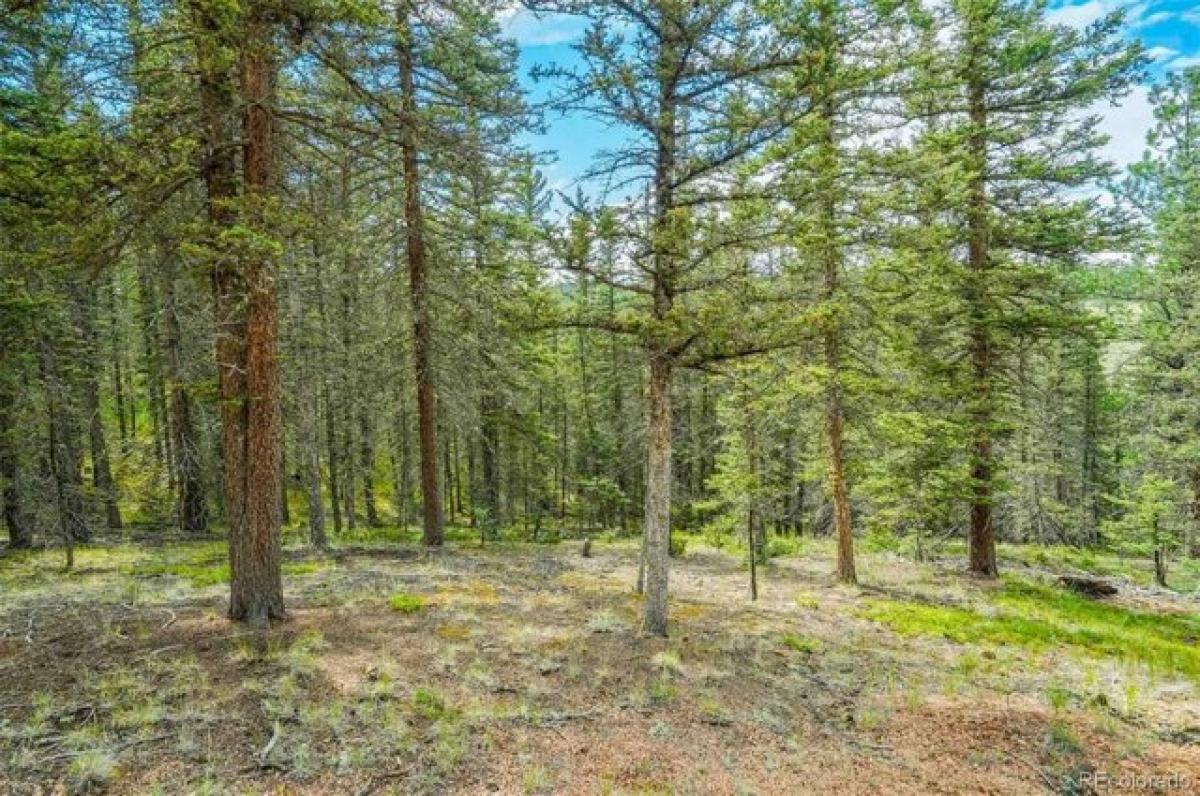 Picture of Residential Land For Sale in Florissant, Colorado, United States