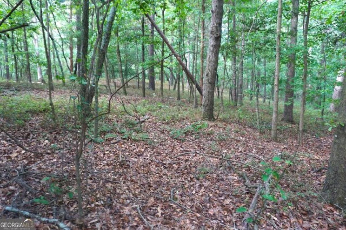 Picture of Residential Land For Sale in Royston, Georgia, United States