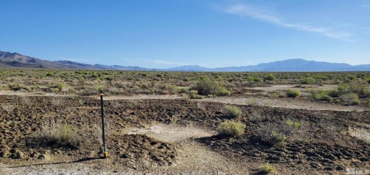 Picture of Residential Land For Sale in Lovelock, Nevada, United States