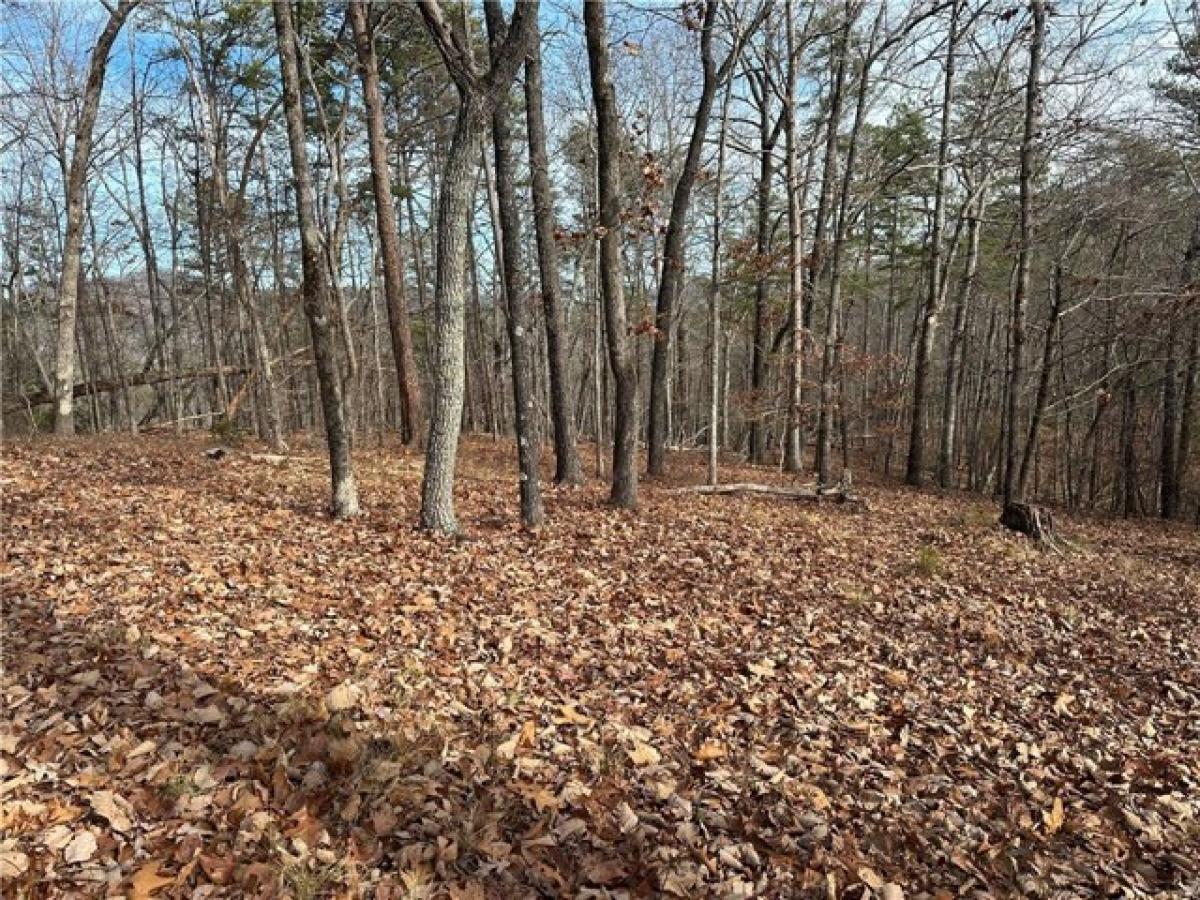 Picture of Residential Land For Sale in Sunset, South Carolina, United States