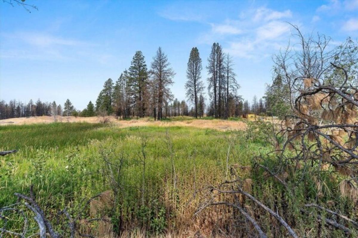 Picture of Residential Land For Sale in Medical Lake, Washington, United States