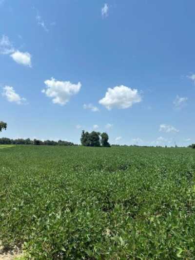 Residential Land For Sale in Campbell, Missouri