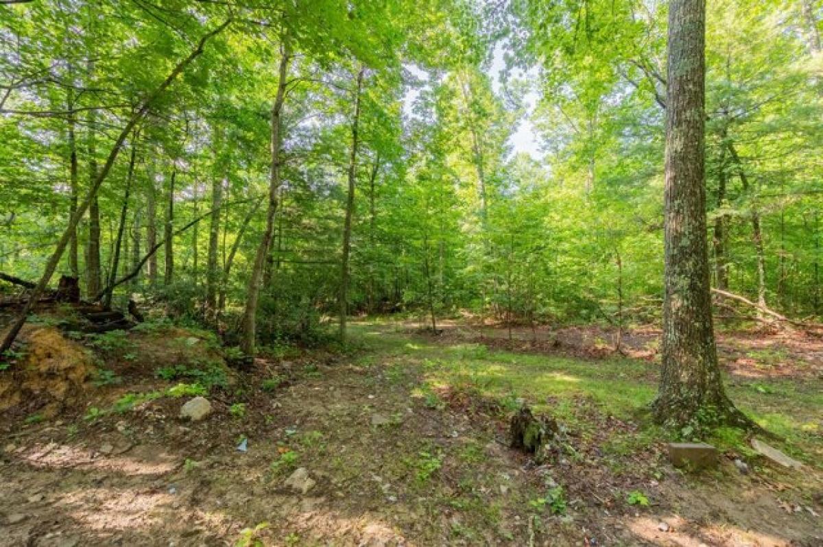 Picture of Residential Land For Sale in Blacksburg, Virginia, United States