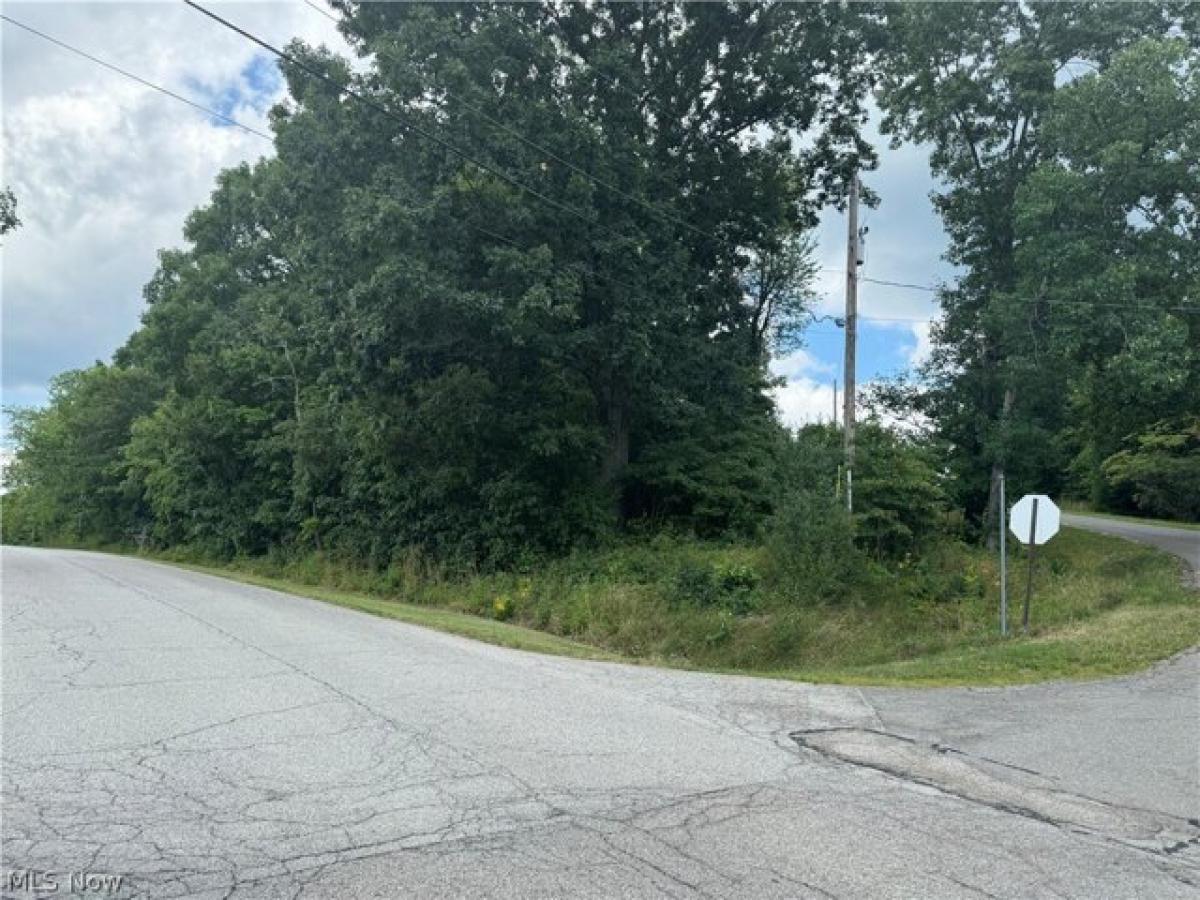 Picture of Residential Land For Sale in Negley, Ohio, United States