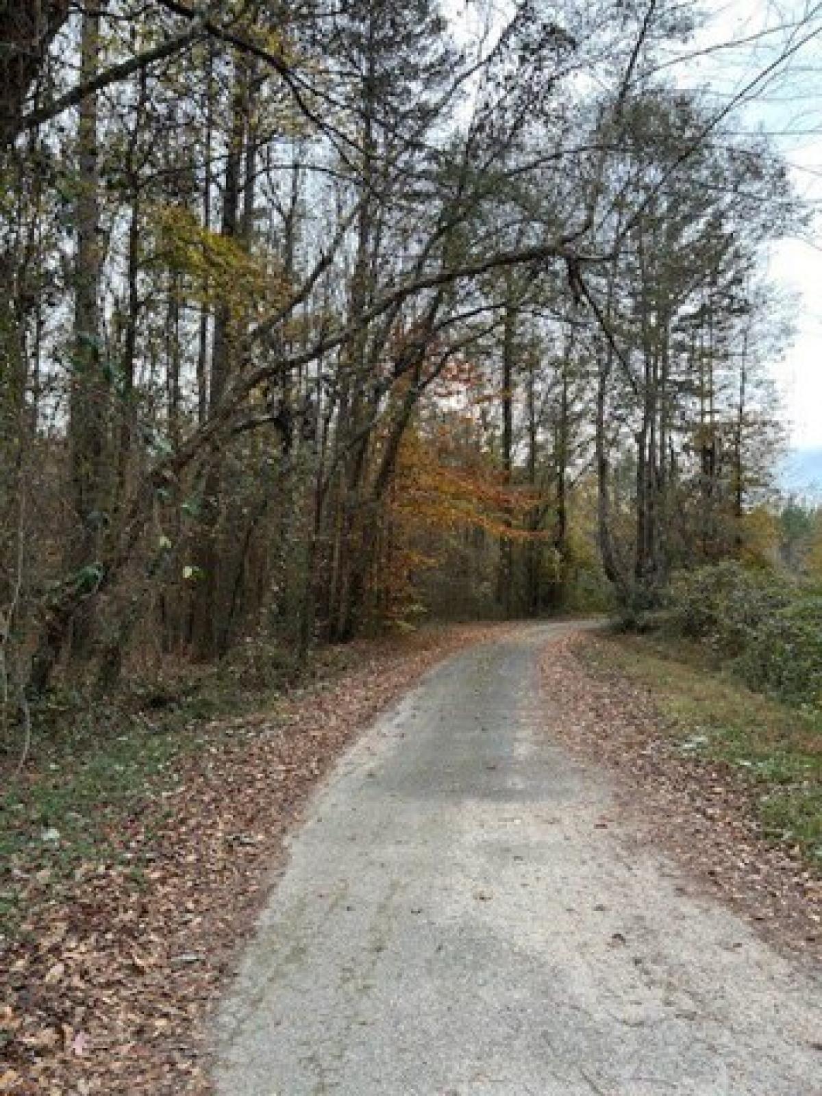 Picture of Residential Land For Sale in Starr, South Carolina, United States