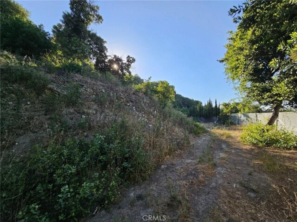 Picture of Residential Land For Sale in Sherman Oaks, California, United States