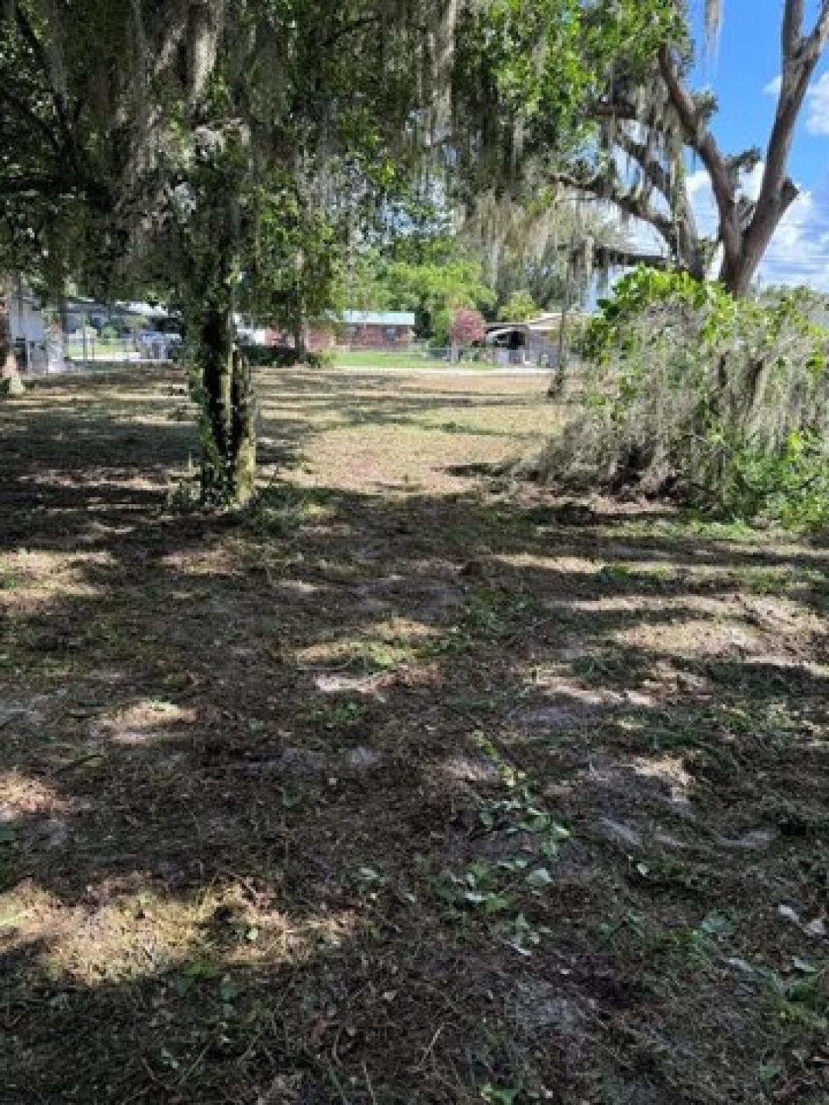 Picture of Residential Land For Sale in Auburndale, Florida, United States