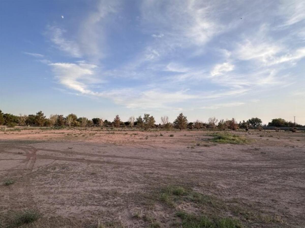 Picture of Residential Land For Sale in Tularosa, New Mexico, United States