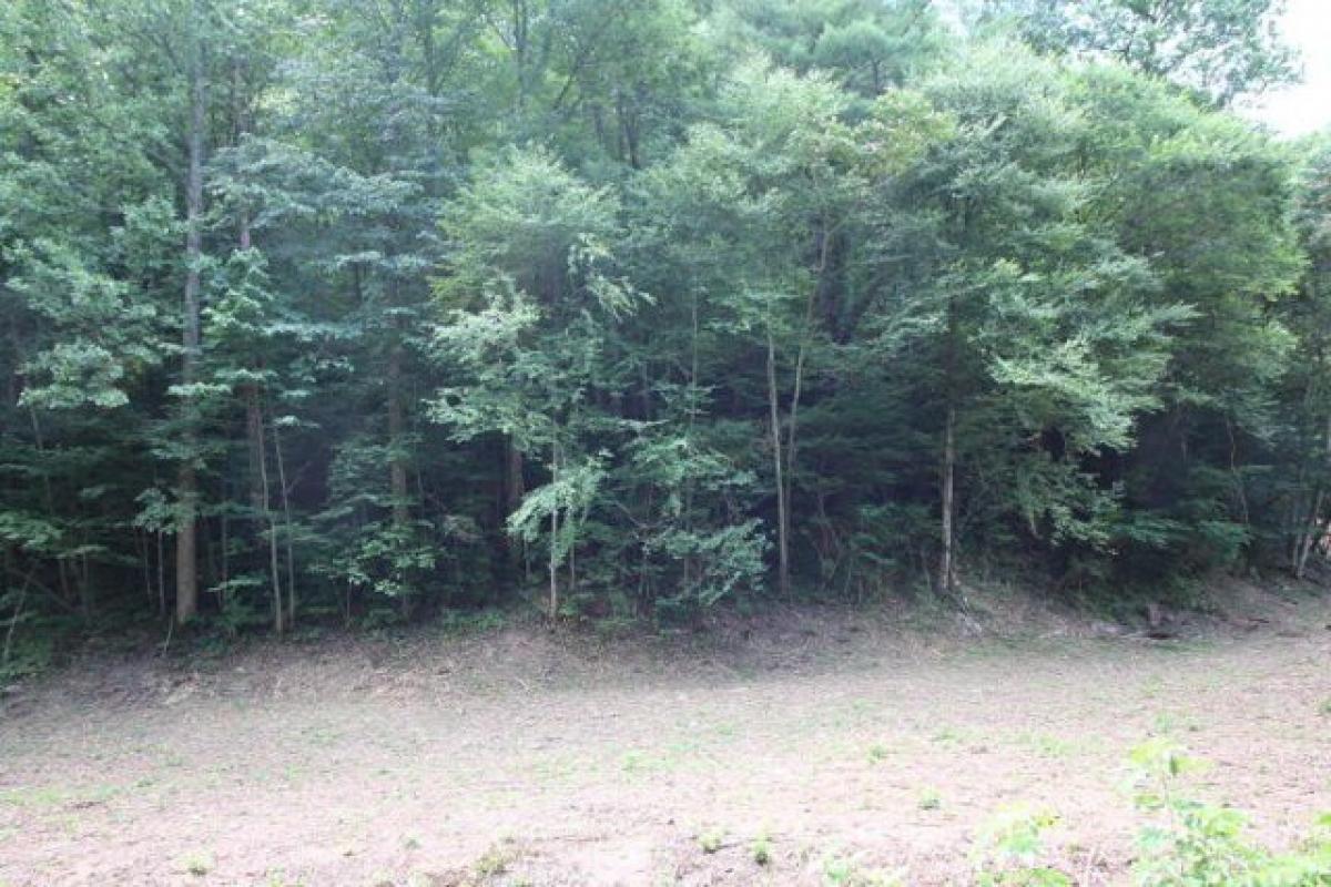 Picture of Residential Land For Sale in Townsend, Tennessee, United States