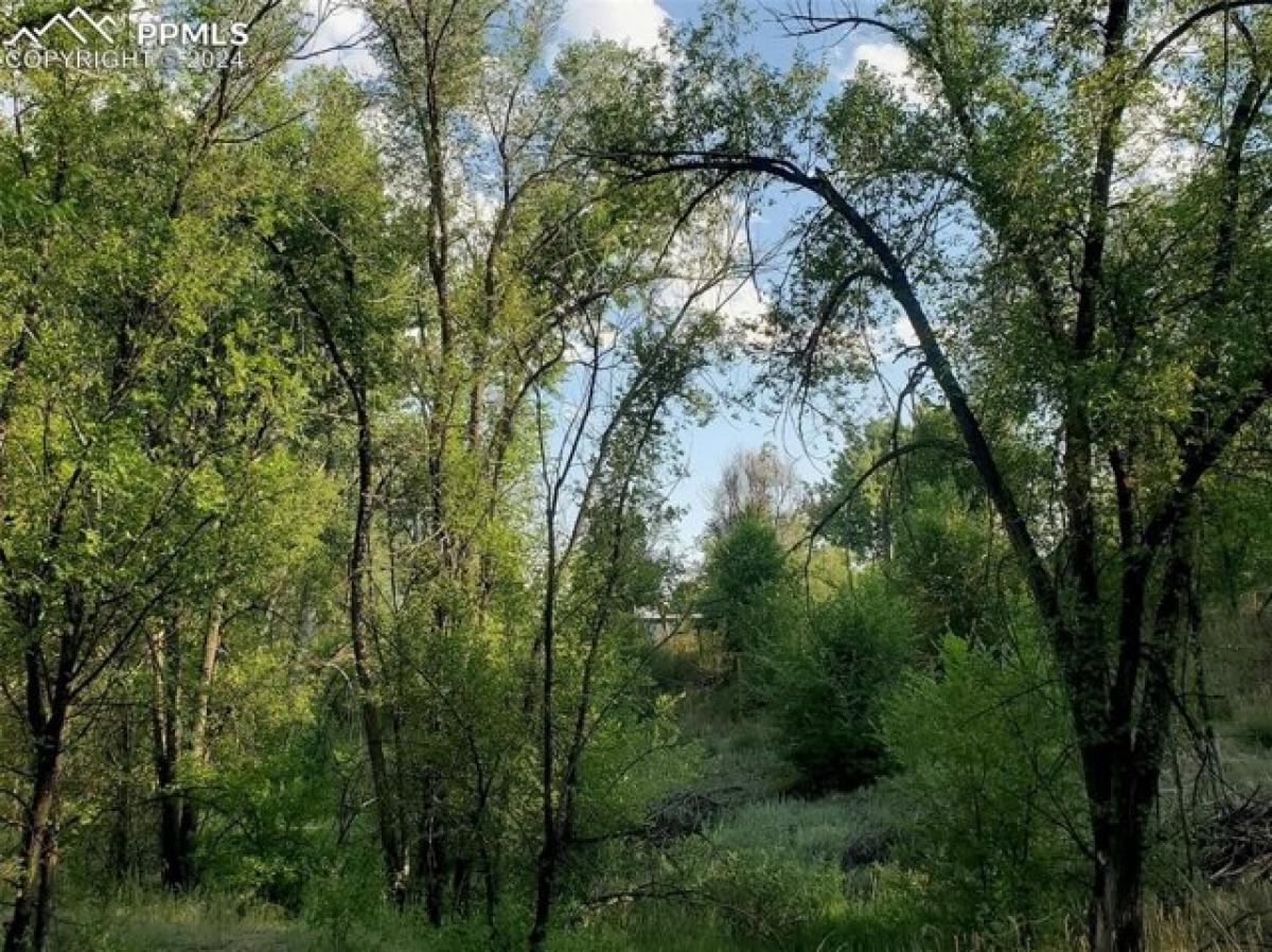 Picture of Residential Land For Sale in Fountain, Colorado, United States