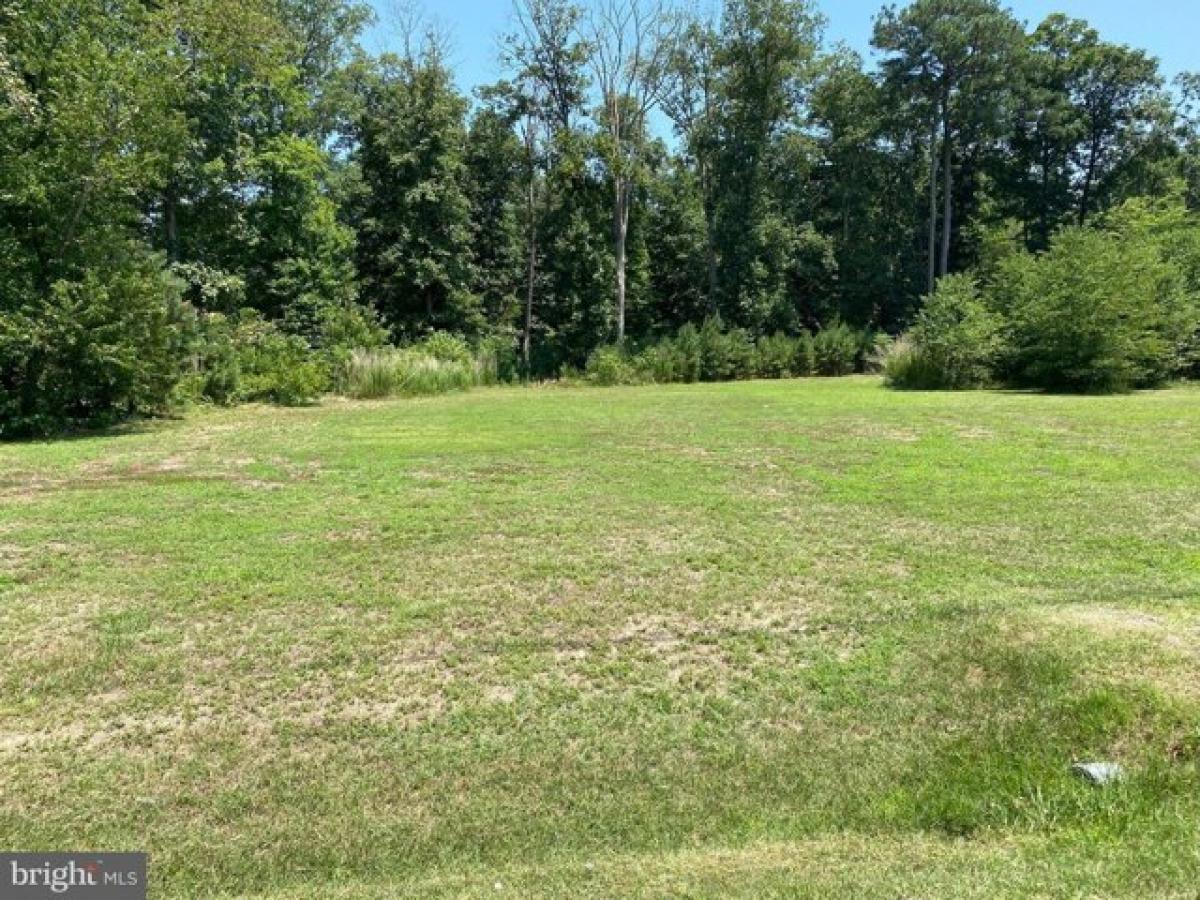 Picture of Residential Land For Sale in Dagsboro, Delaware, United States