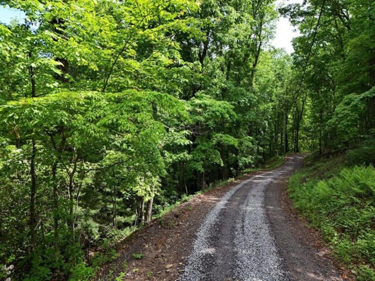 Picture of Residential Land For Sale in Hiawassee, Georgia, United States