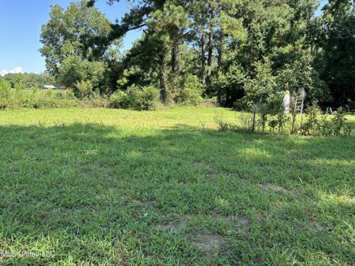 Picture of Home For Sale in Lucedale, Mississippi, United States