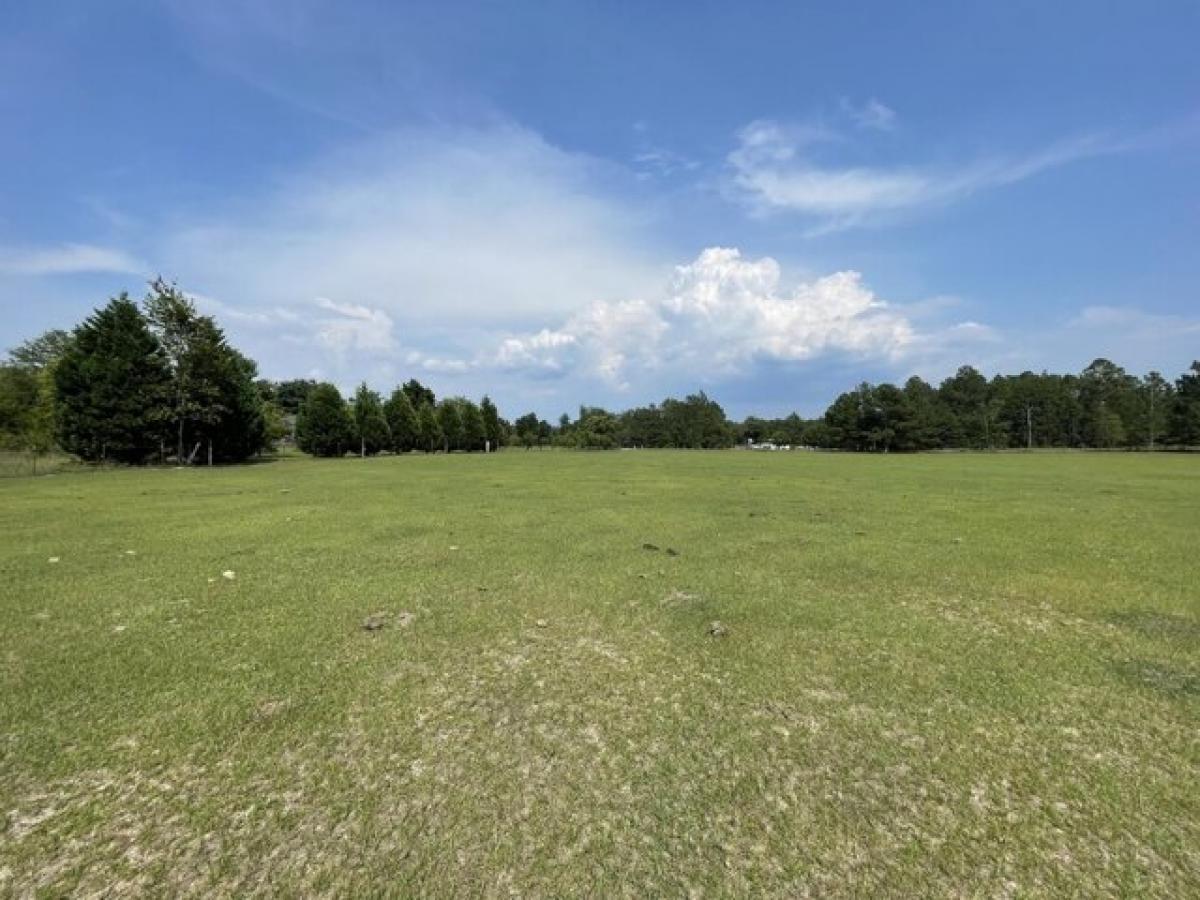 Picture of Residential Land For Sale in Wagener, South Carolina, United States