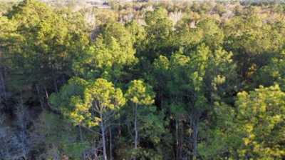 Residential Land For Sale in Kirbyville, Texas