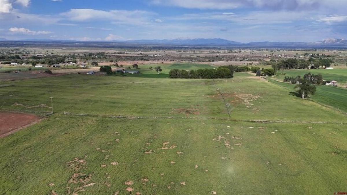 Picture of Residential Land For Sale in Cortez, Colorado, United States