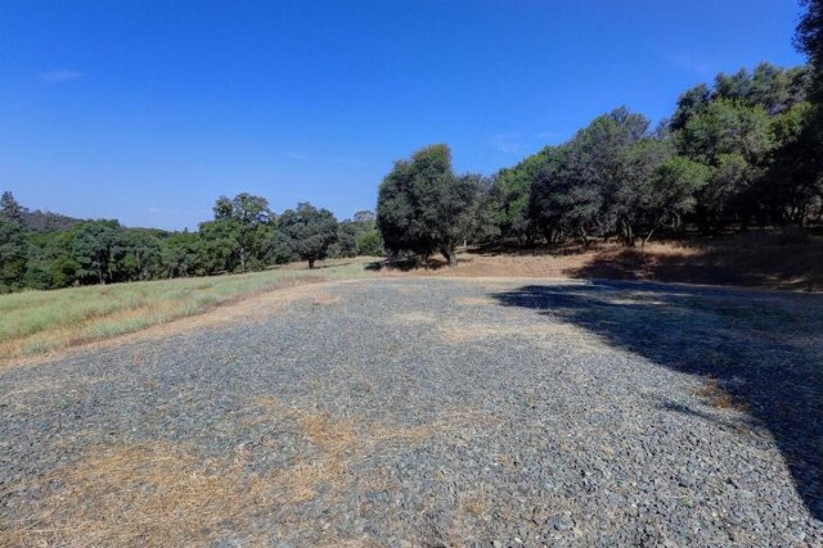 Picture of Residential Land For Sale in Grass Valley, California, United States