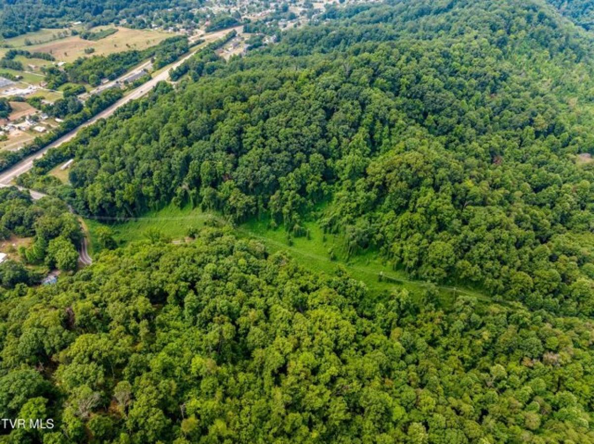 Picture of Residential Land For Sale in Rogersville, Tennessee, United States