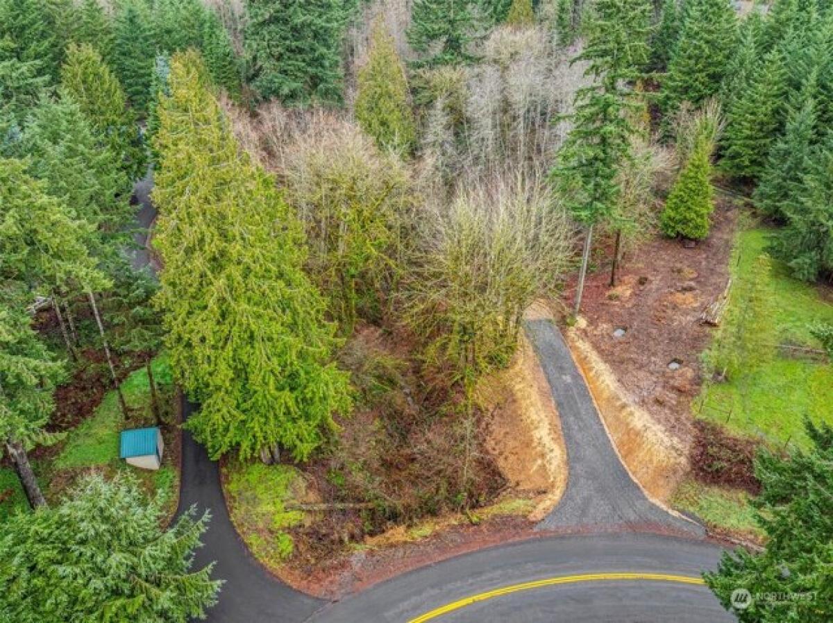 Picture of Residential Land For Sale in Castle Rock, Washington, United States