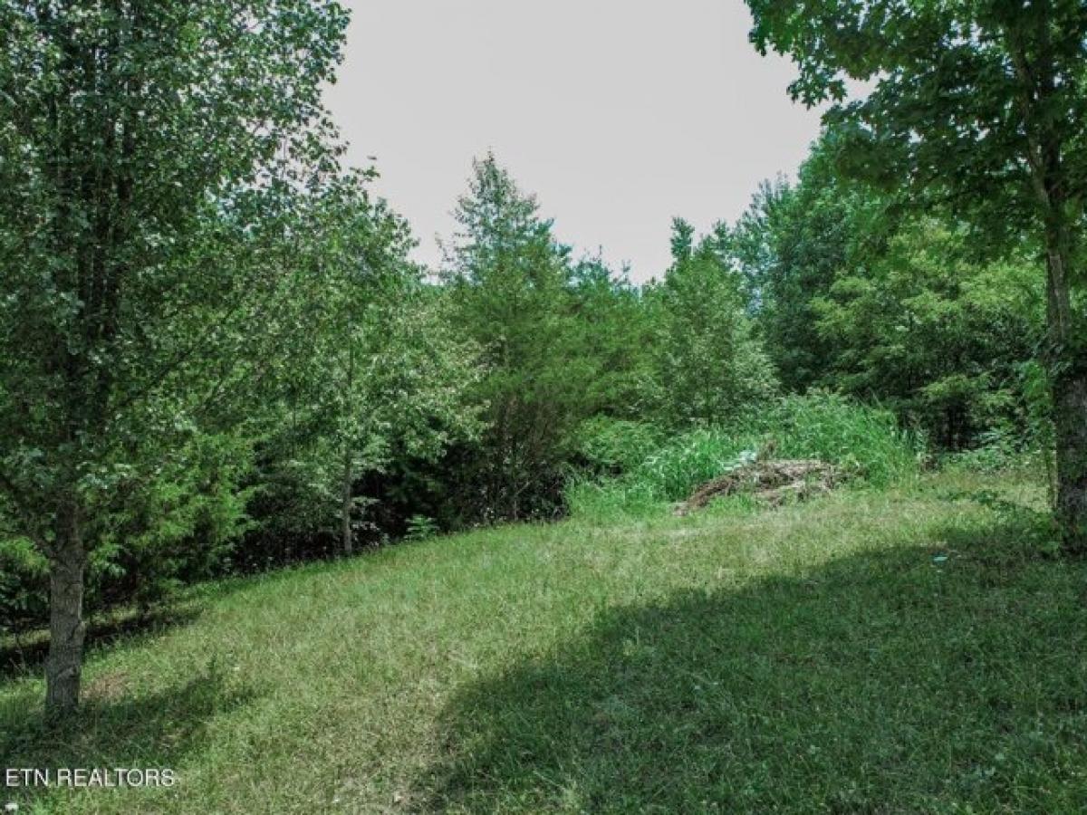 Picture of Residential Land For Sale in Newport, Tennessee, United States