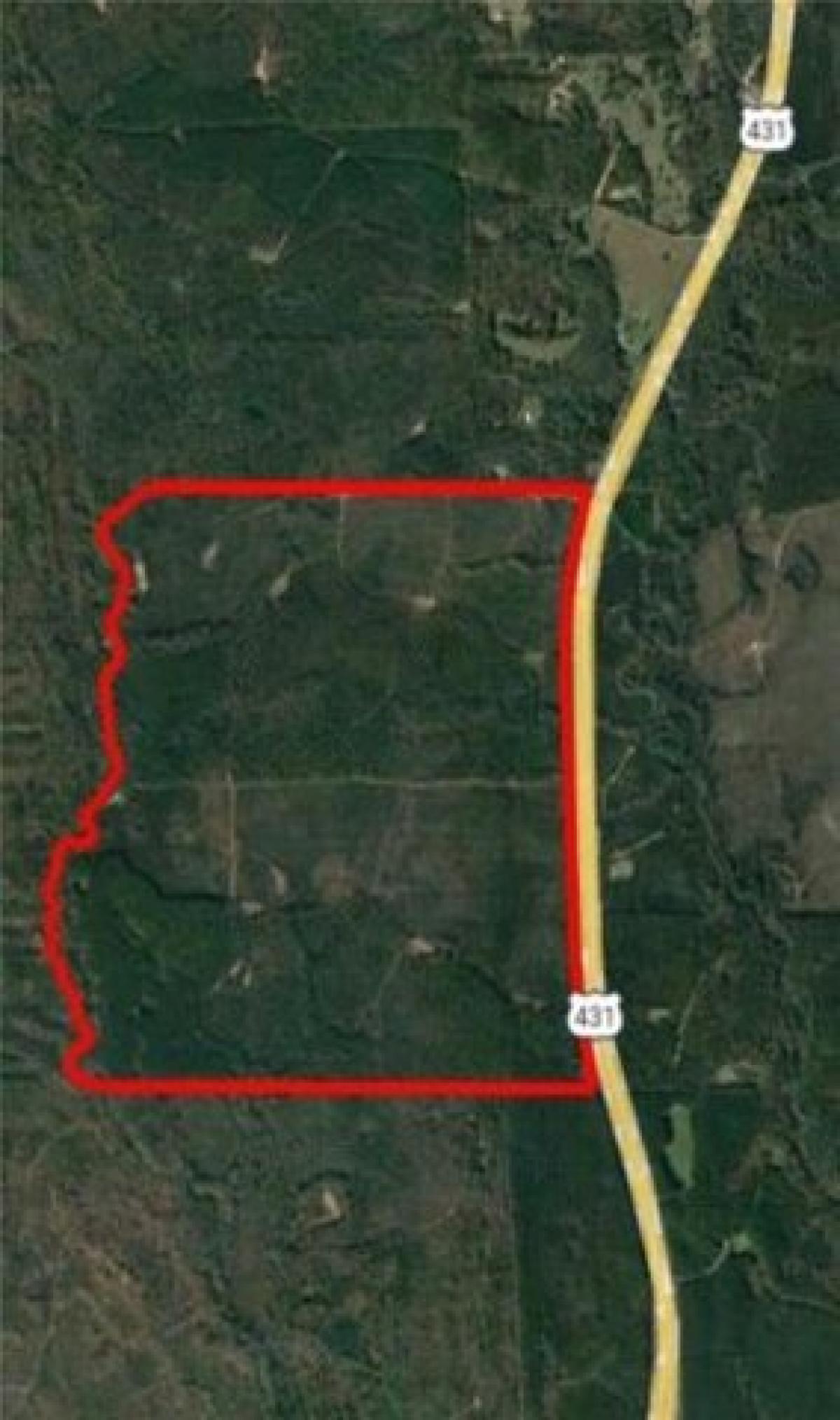 Picture of Residential Land For Sale in Pittsview, Alabama, United States