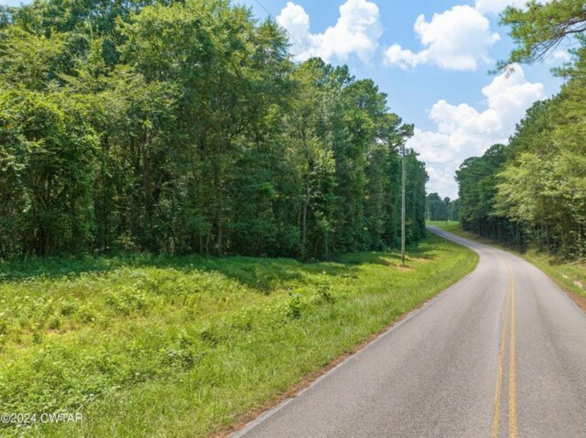 Picture of Residential Land For Sale in Lexington, Tennessee, United States