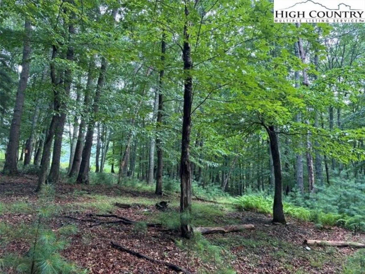 Picture of Residential Land For Sale in Crumpler, North Carolina, United States