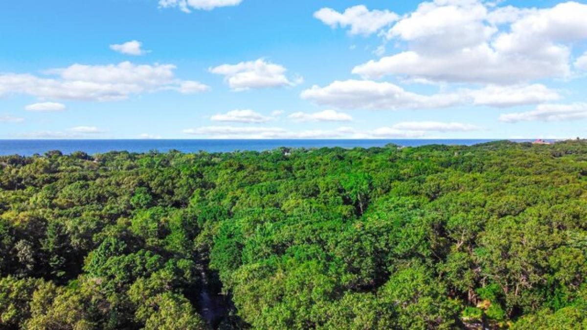 Picture of Residential Land For Sale in Gary, Indiana, United States