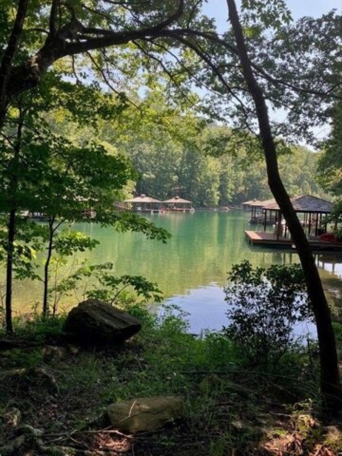 Picture of Residential Land For Sale in Sunset, South Carolina, United States