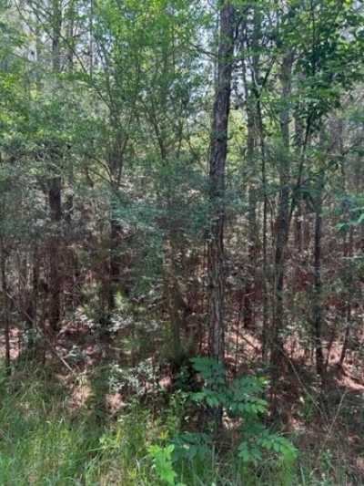 Residential Land For Sale in Sumrall, Mississippi