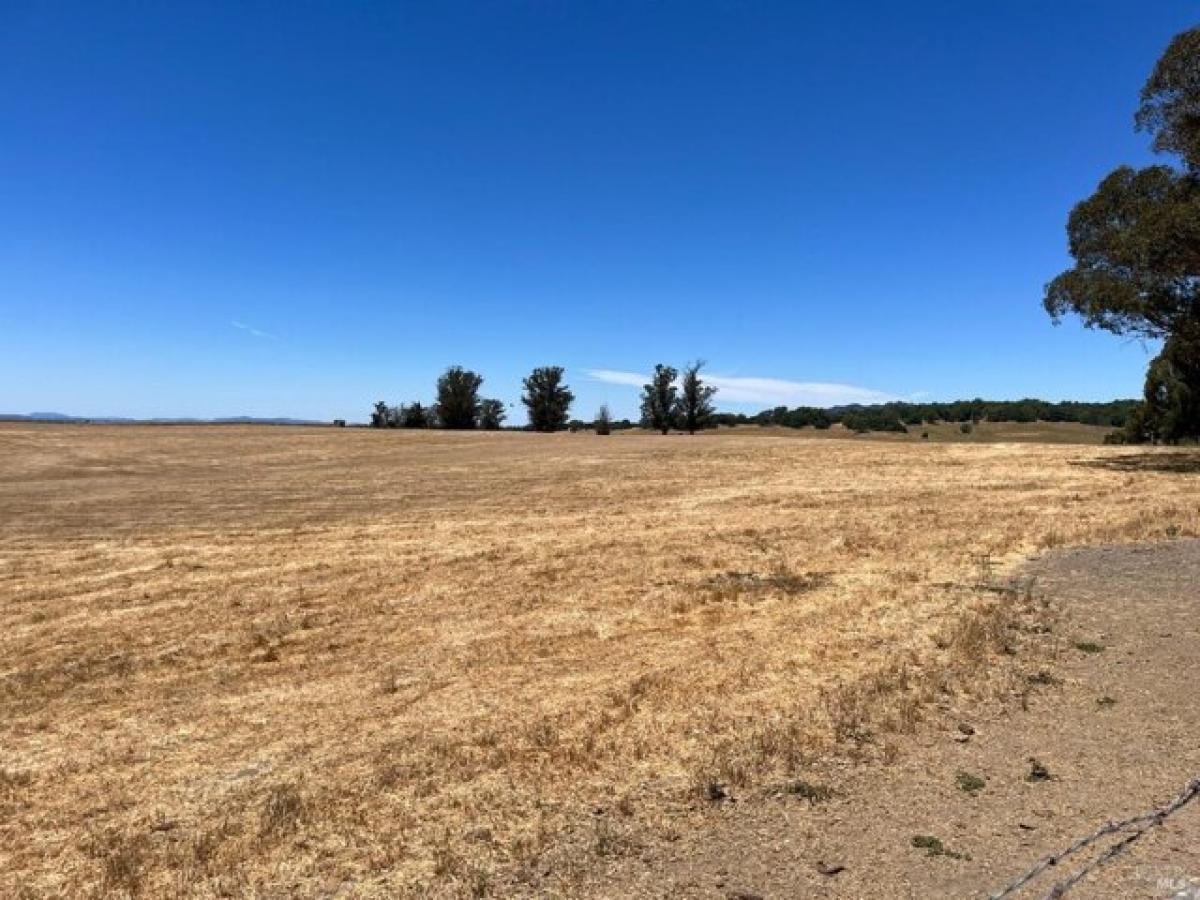 Picture of Residential Land For Sale in Penngrove, California, United States