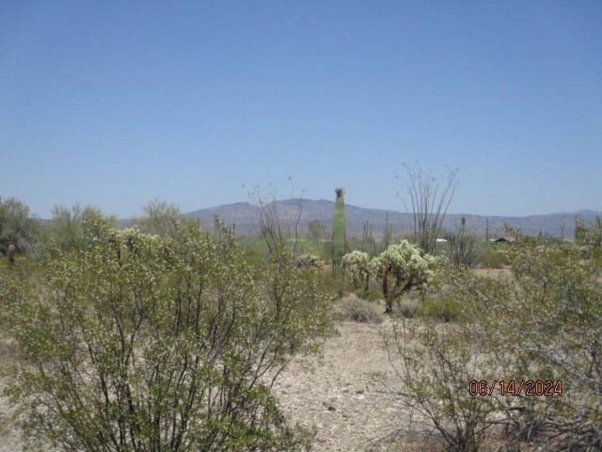 Picture of Residential Land For Sale in Ajo, Arizona, United States