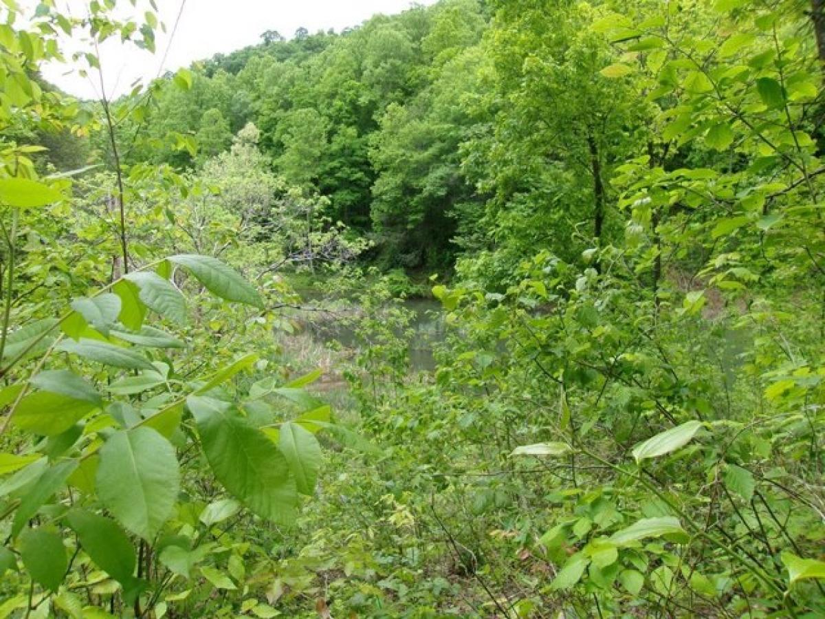 Picture of Residential Land For Sale in Anawalt, West Virginia, United States