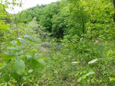 Residential Land For Sale in Anawalt, West Virginia