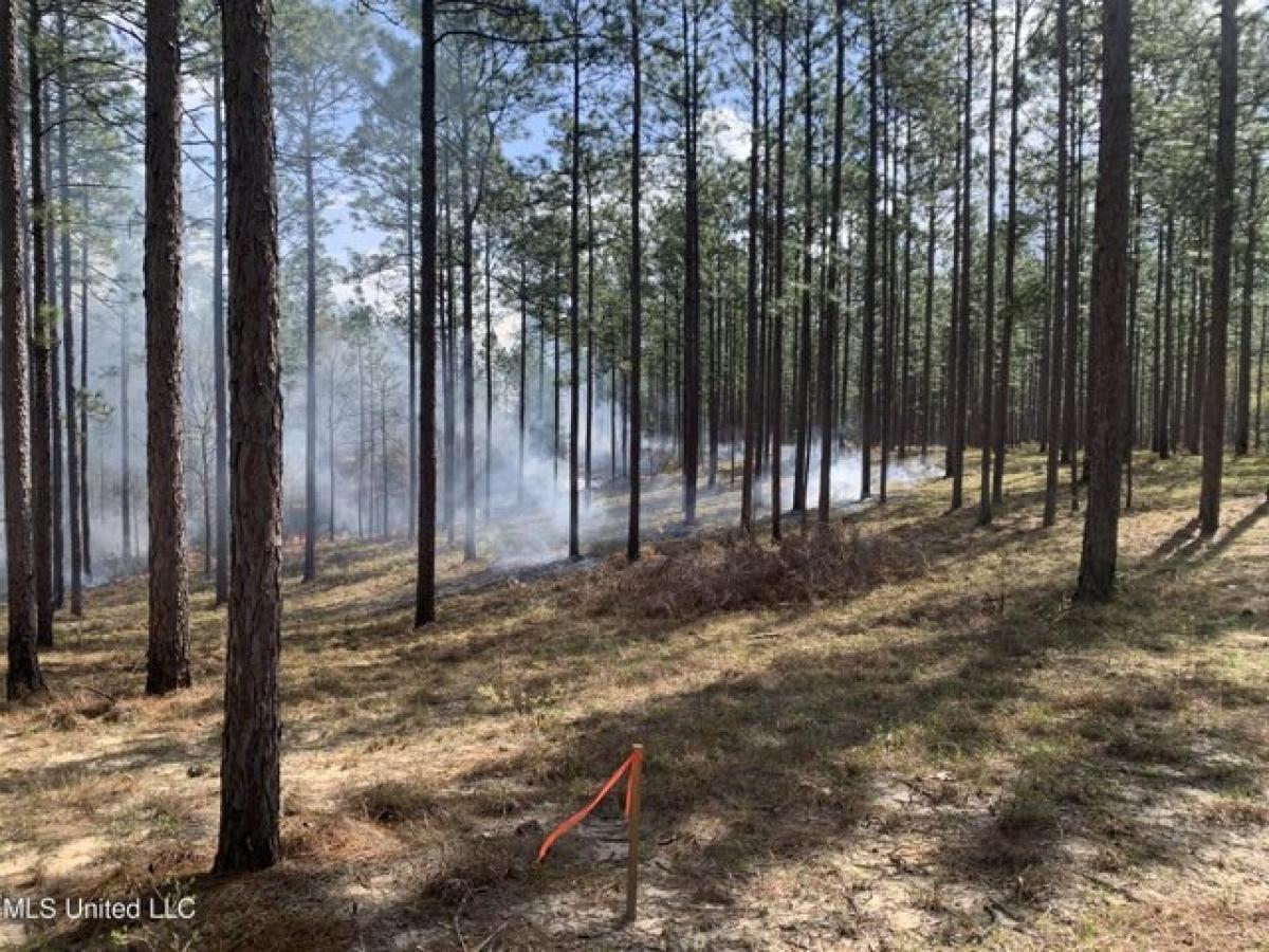 Picture of Residential Land For Sale in Lumberton, Mississippi, United States