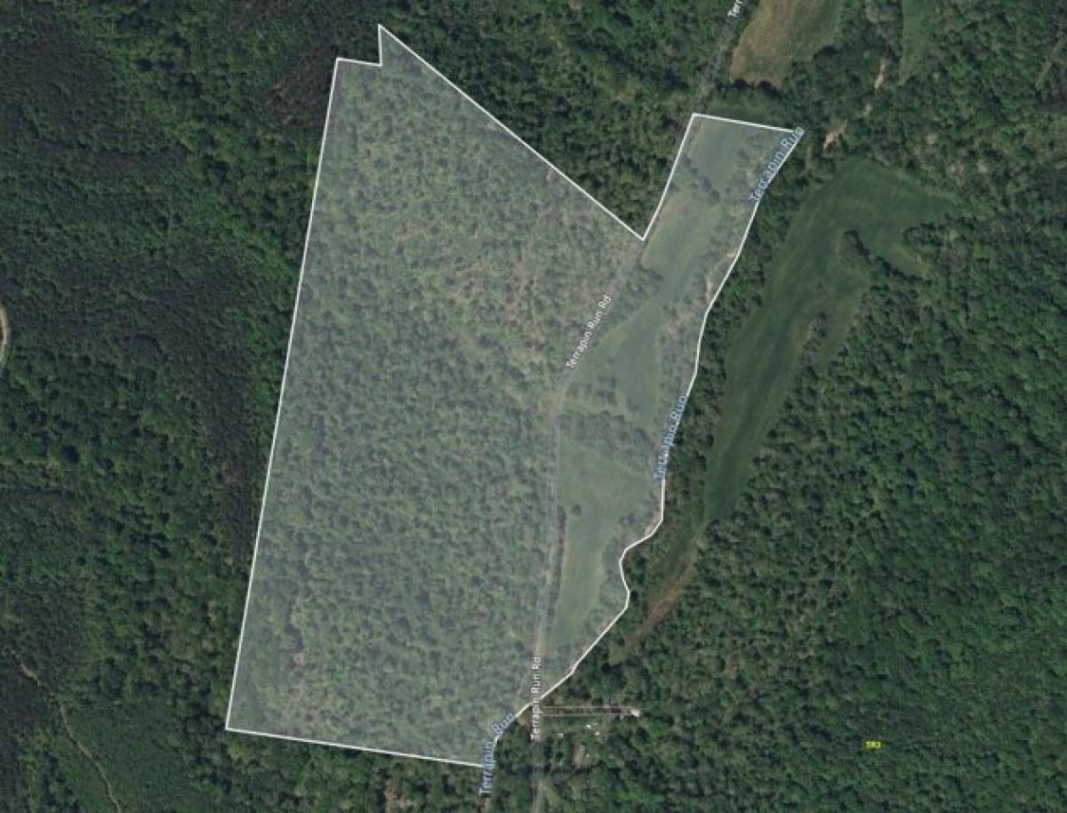 Picture of Residential Land For Sale in Dover, Tennessee, United States