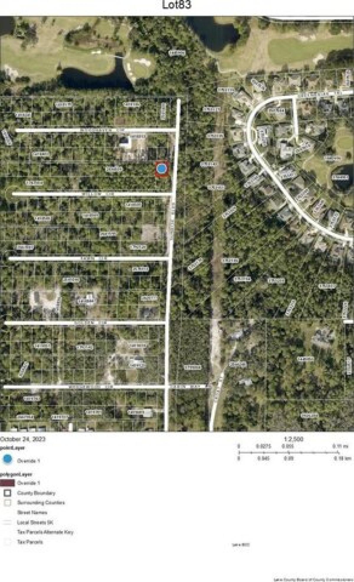 Picture of Residential Land For Sale in Mount Dora, Florida, United States