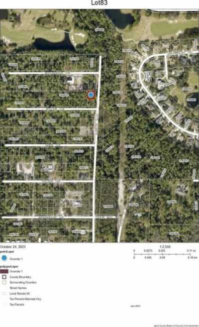 Residential Land For Sale in Mount Dora, Florida