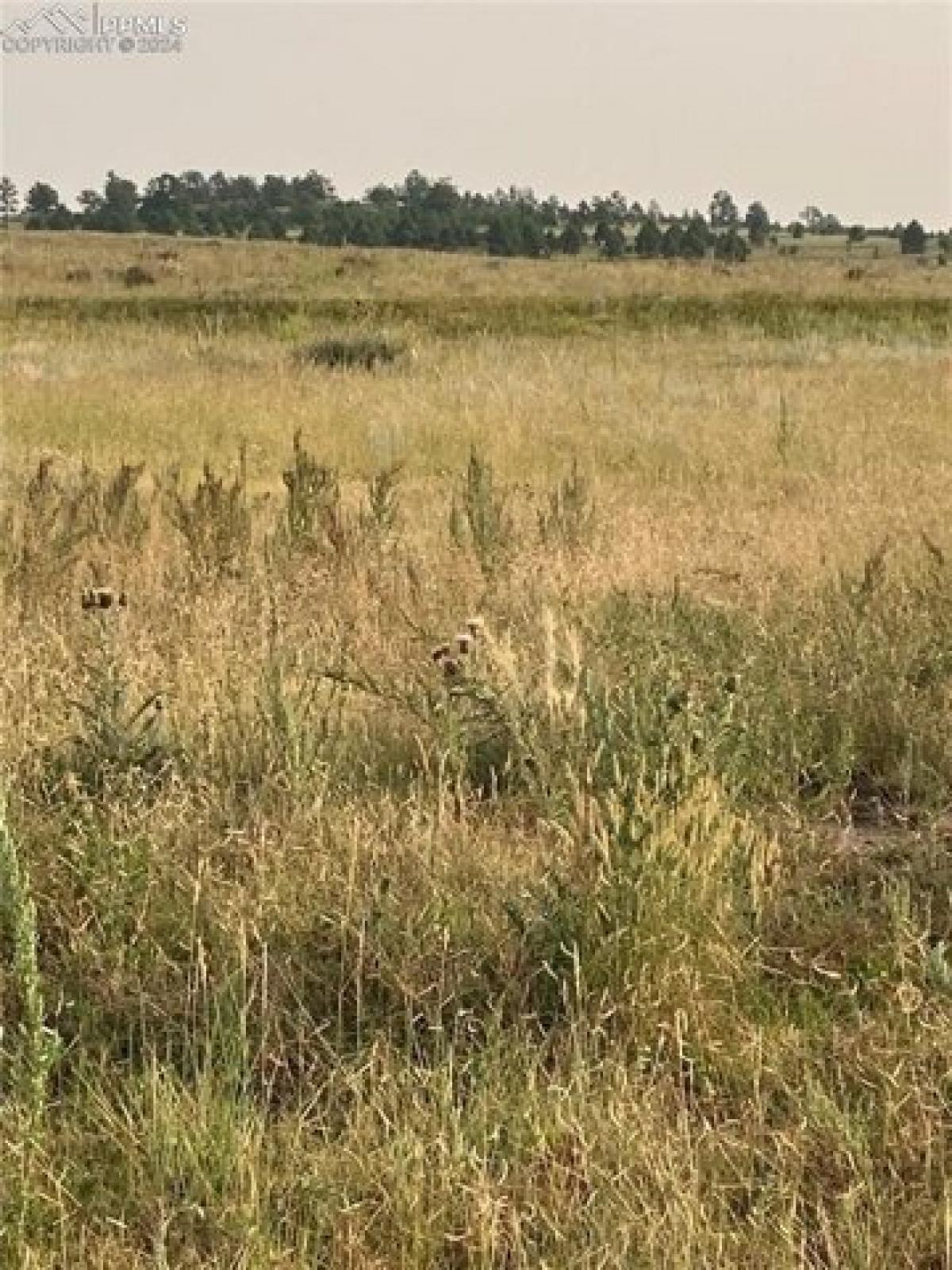 Picture of Residential Land For Sale in Calhan, Colorado, United States