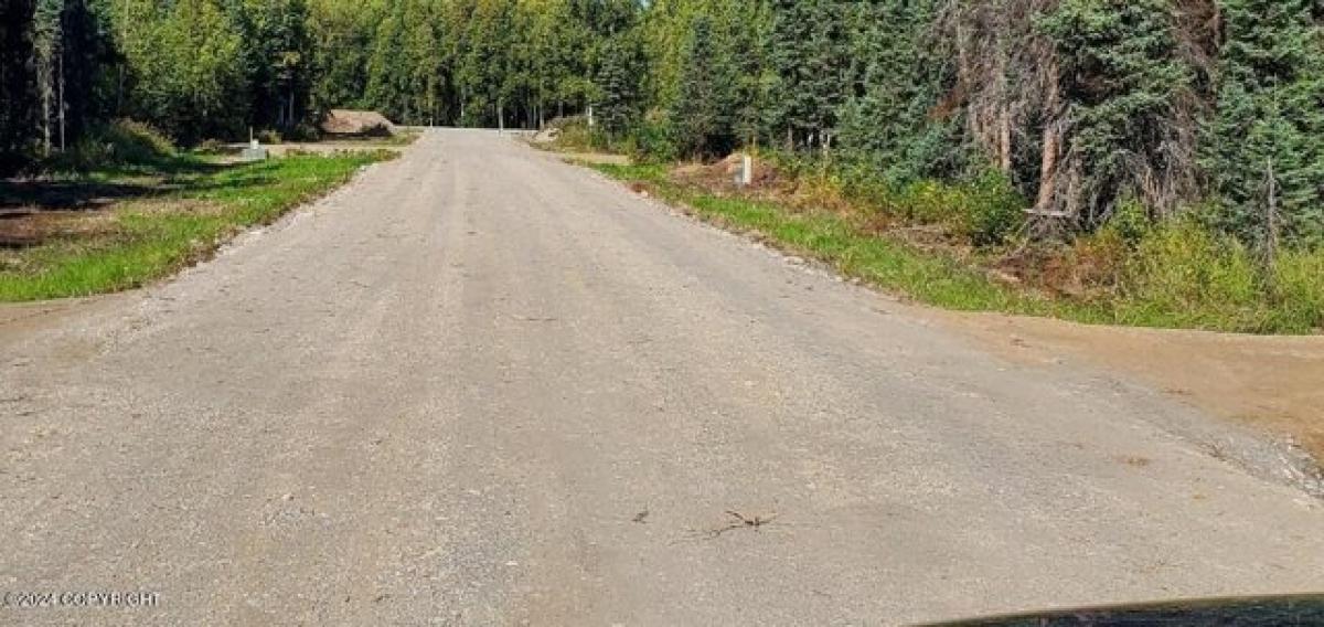 Picture of Residential Land For Sale in Willow, Alaska, United States