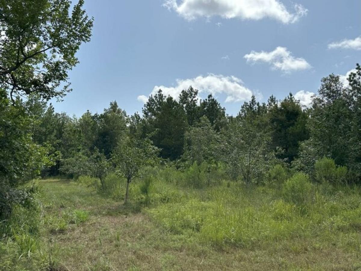 Picture of Residential Land For Sale in Crockett, Texas, United States