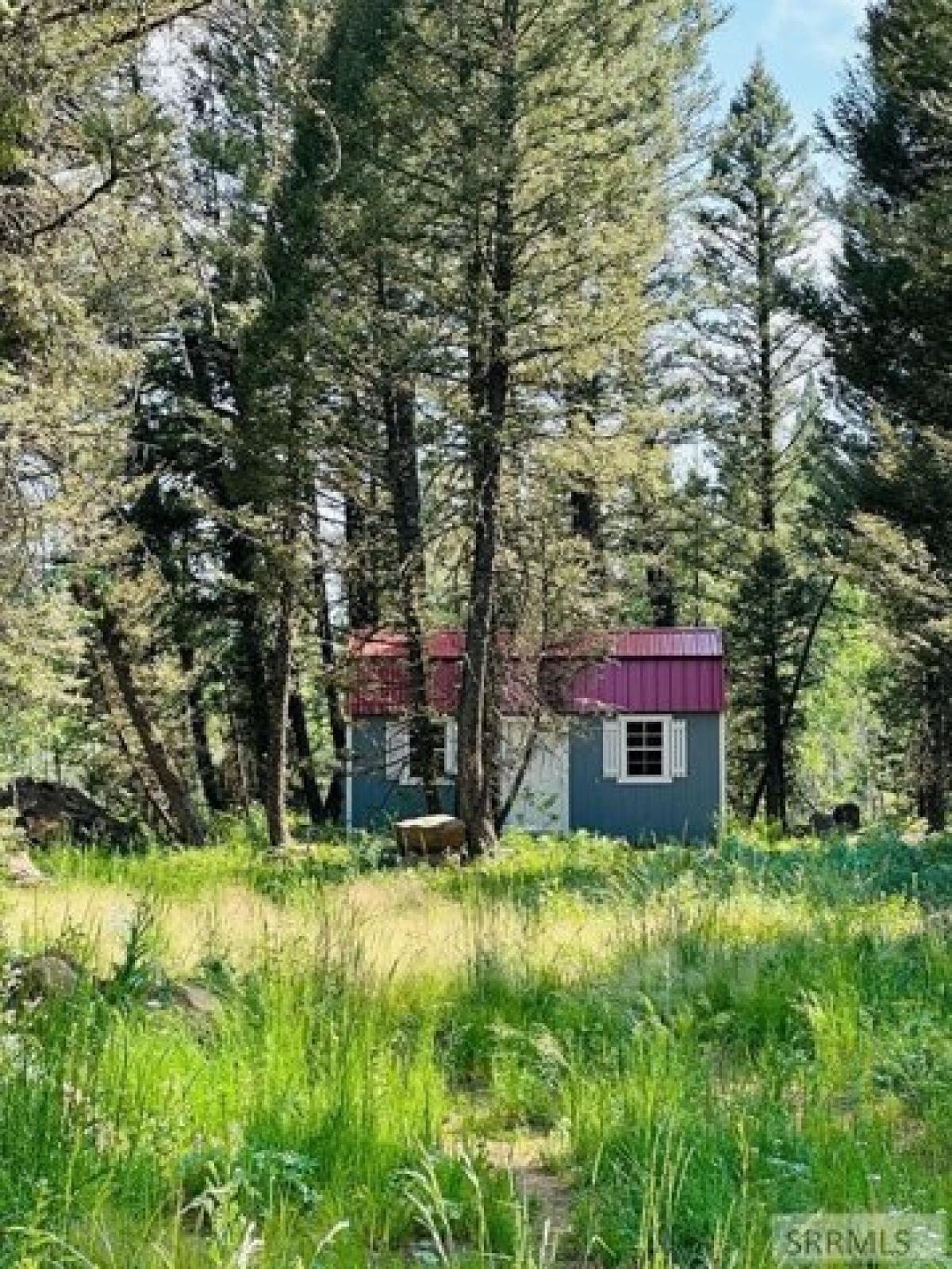 Picture of Residential Land For Sale in Island Park, Idaho, United States