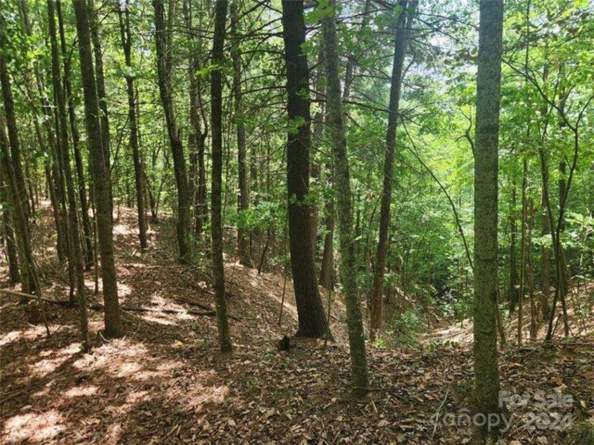 Picture of Residential Land For Sale in Lenoir, North Carolina, United States