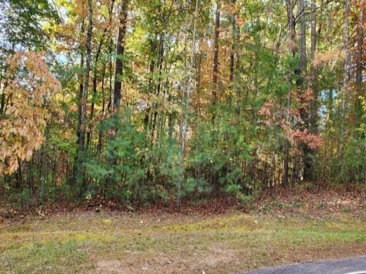 Picture of Residential Land For Sale in Sunset, South Carolina, United States