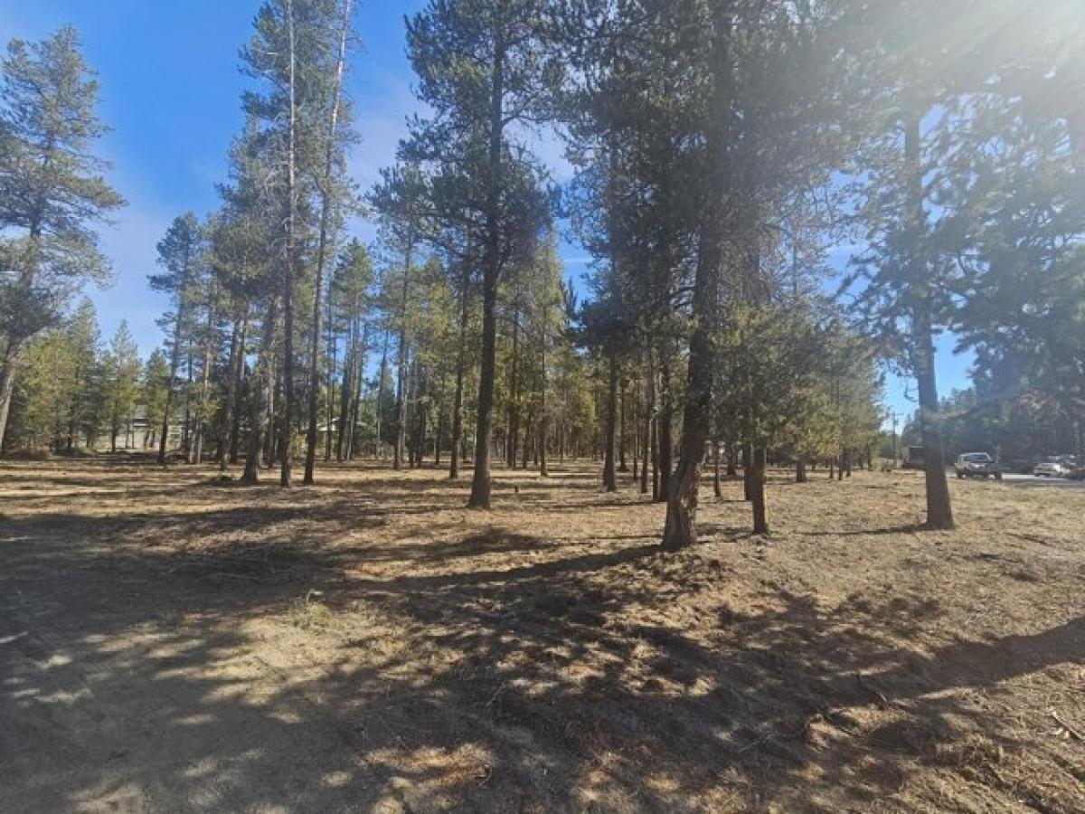 Picture of Residential Land For Sale in La Pine, Oregon, United States